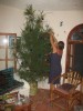costa maya christmas tree9_1.JPG